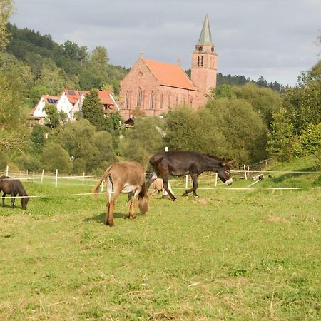 Ferienwohnung Spreter Zimmern ob Rottweil 외부 사진