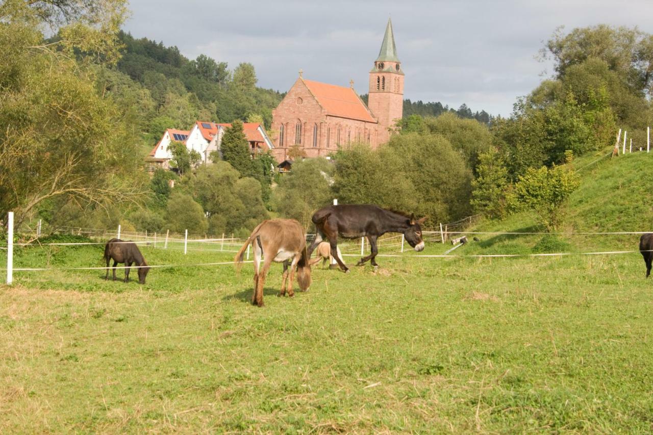 Ferienwohnung Spreter Zimmern ob Rottweil 외부 사진